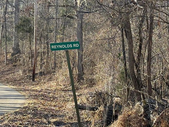 2nd image of 41 Reynolds Rd