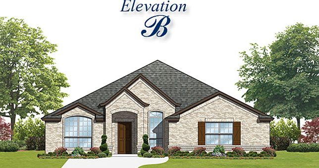 Elevation Image 0.