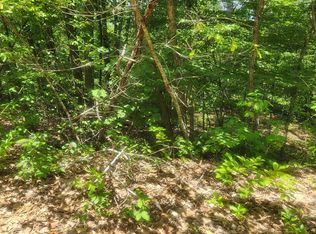 L-27 Goti Dr #B, Cherokee Village, AR 72529