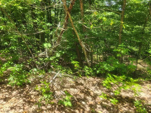 L-27 Goti Dr #B, Cherokee Village, AR 72529