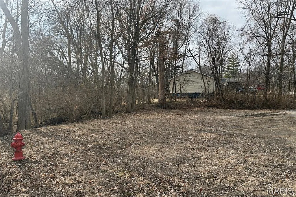 313 Park St photo 1