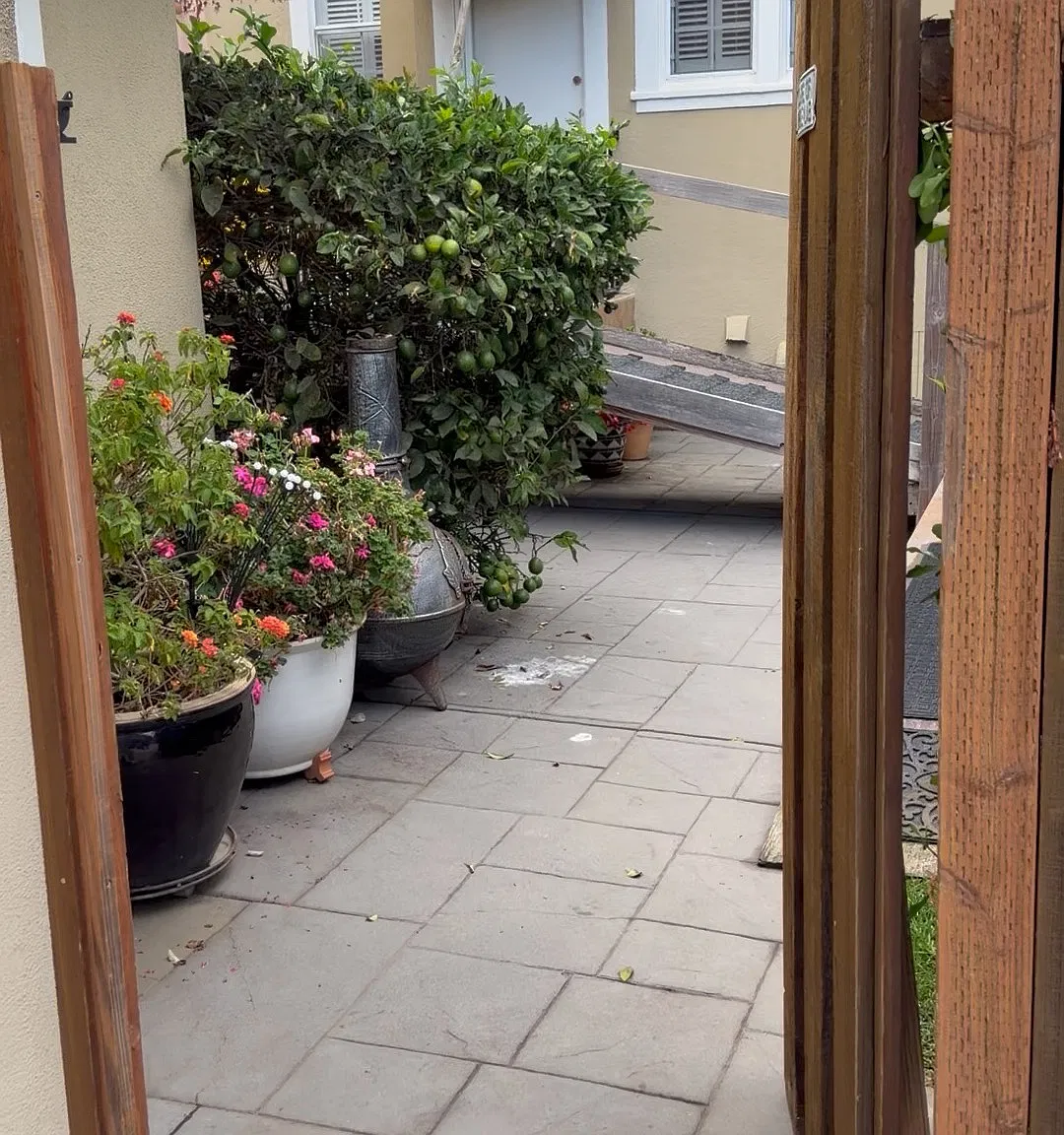 Studio, 150 sqft, $1,500 — Photo 2
