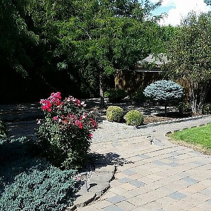 From house toward backyard. 