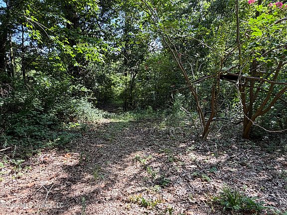4th image of 4555 Sardis Lake Dr