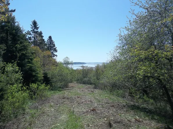 M2 L13-1 Lincoln Cove Road, Perry, ME 04667