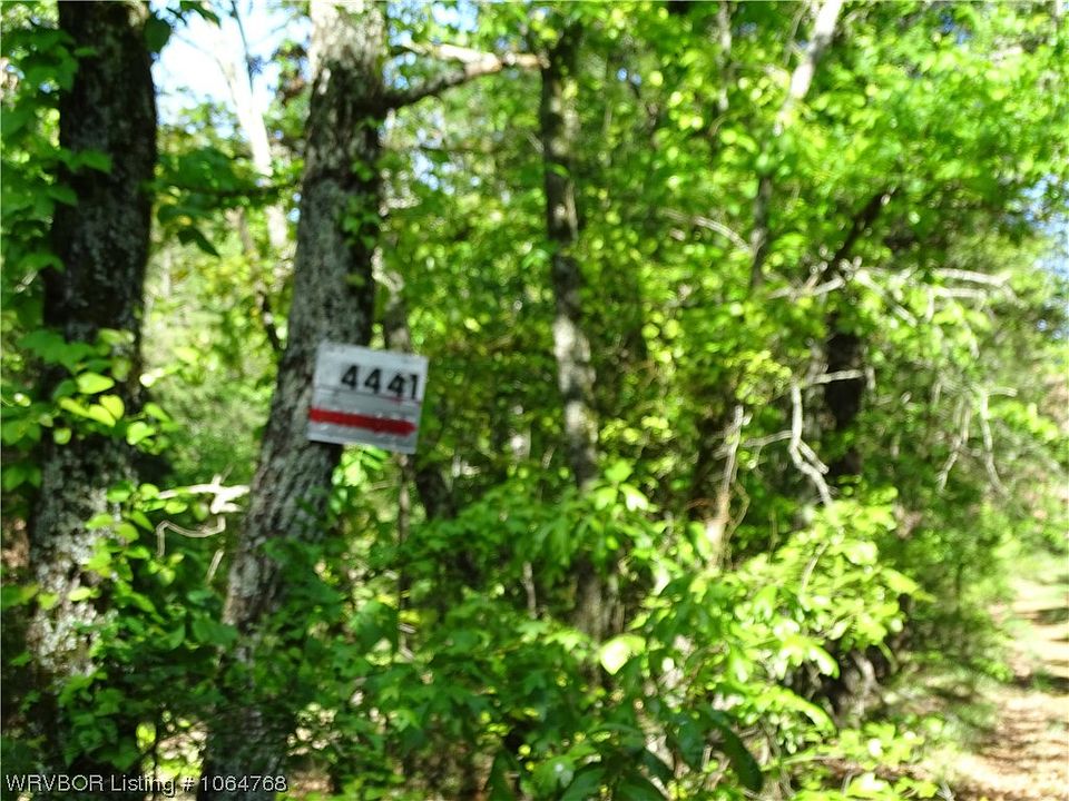 2nd image of 4441 Oliver Springs Rd