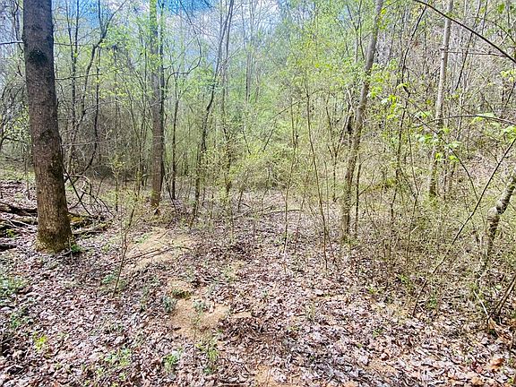 5th image of 0 Woods Rd