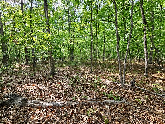 5th image of 627 Axtell Rd