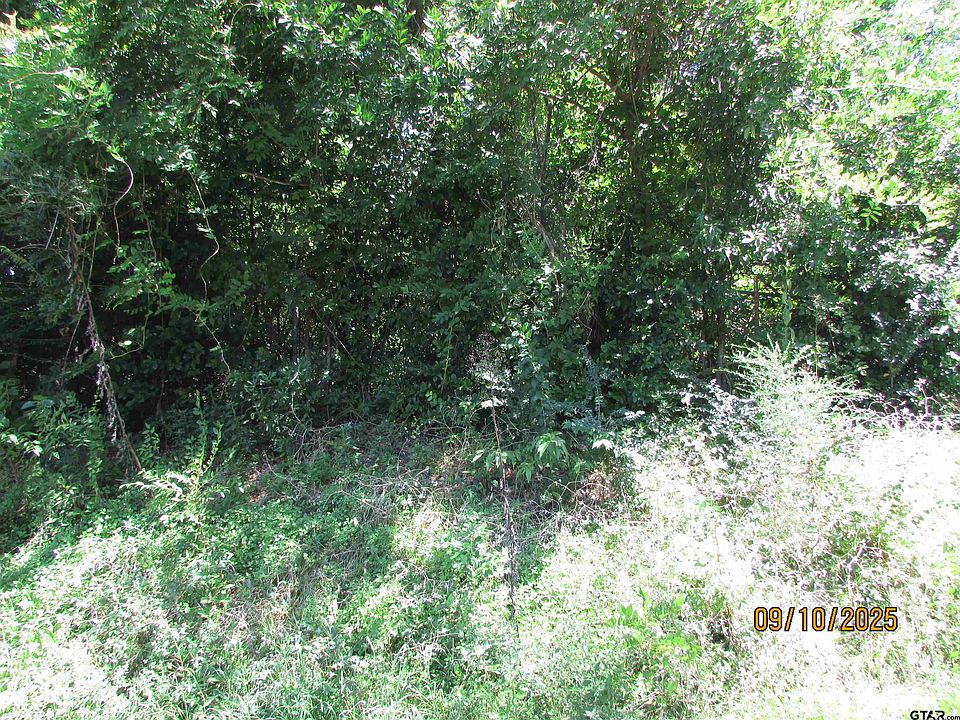2nd image of 413 N Parker Ave
