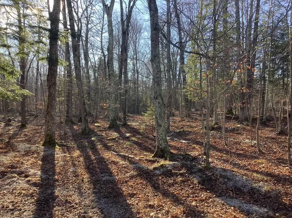 Gunnlaugsson Dr, Washington Island, WI 54246