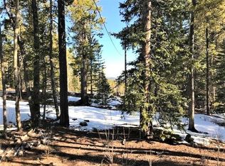 2036 Lakeside Dr, Alma, CO 80420