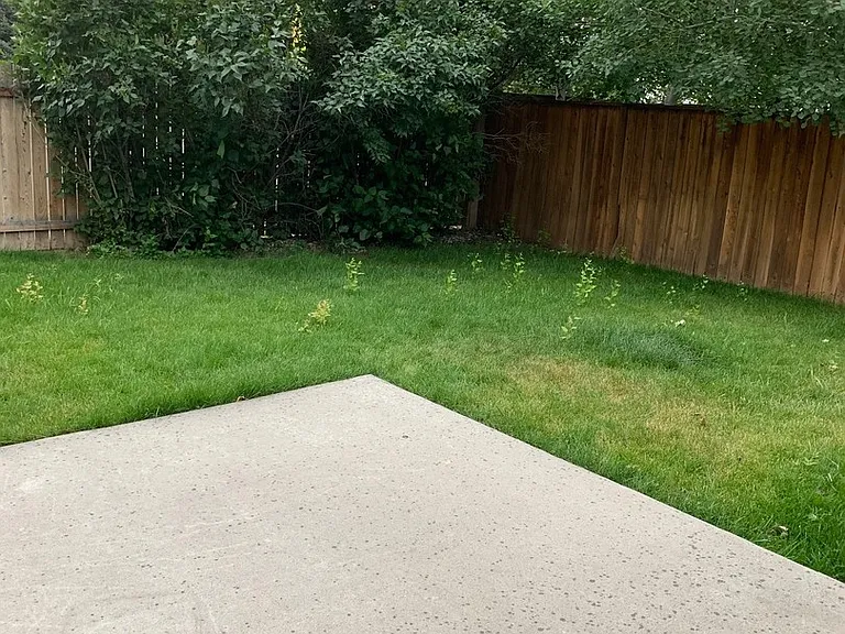 2729 Allison Ct — Photo 21