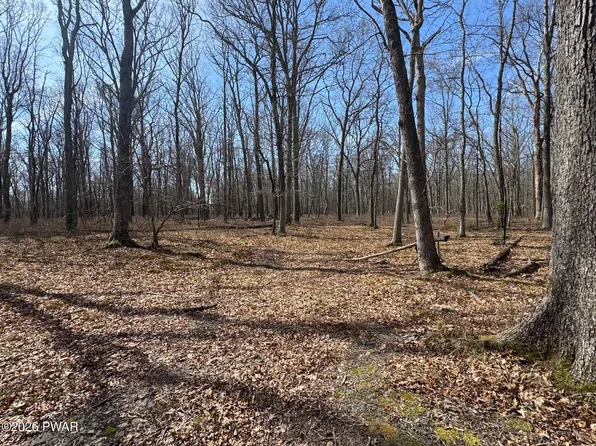 157 Mountain Top Rd, Lackawaxen, PA 18435
