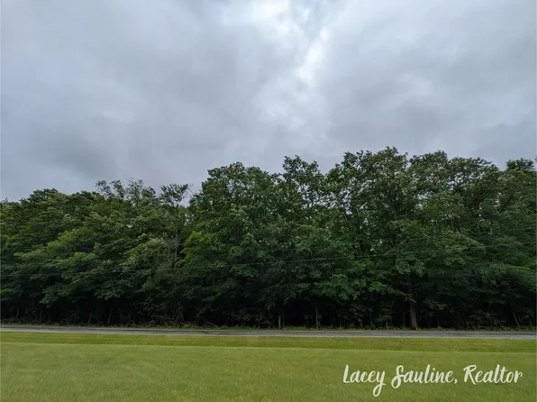 W Finkle Rd, Mc Bain, MI 49657