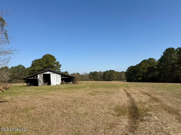 Water Tank Rd, Sandy Hook, MS 39478