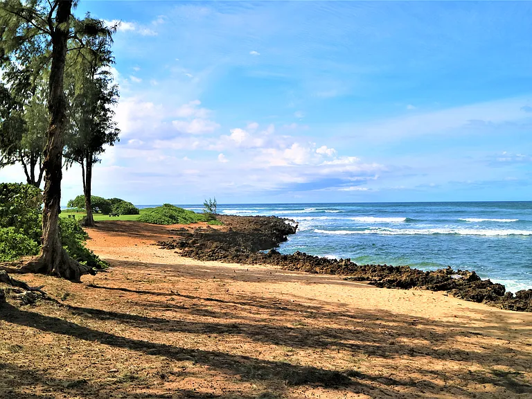 66-480 Haleiwa Rd — Photo 16