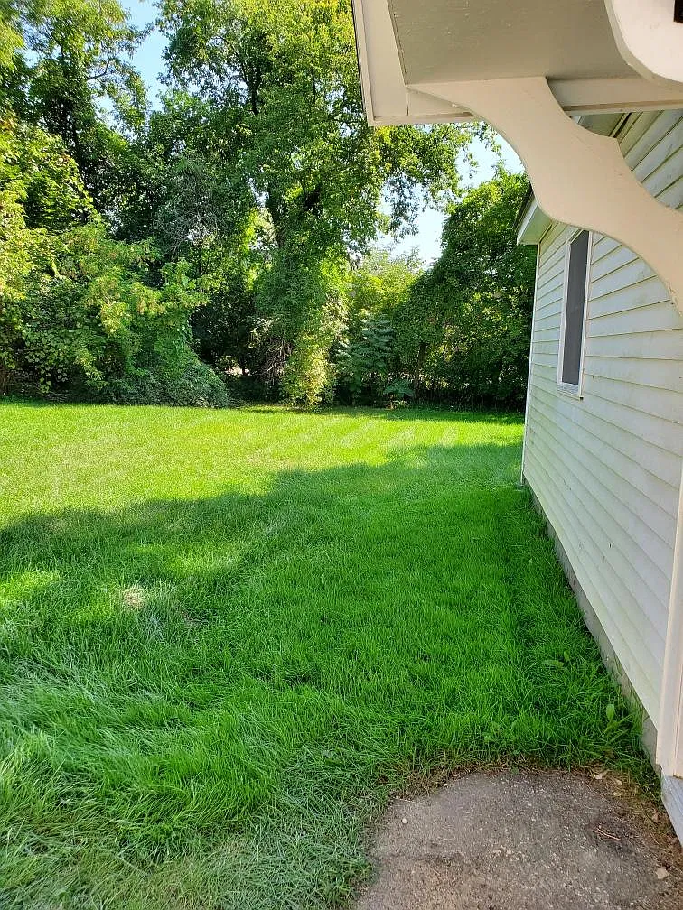 3 bed, $2,800 — Photo 4