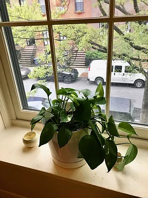 Rented by Boerum Hill Realty | media 36