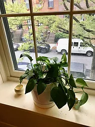 Rented by Boerum Hill Realty