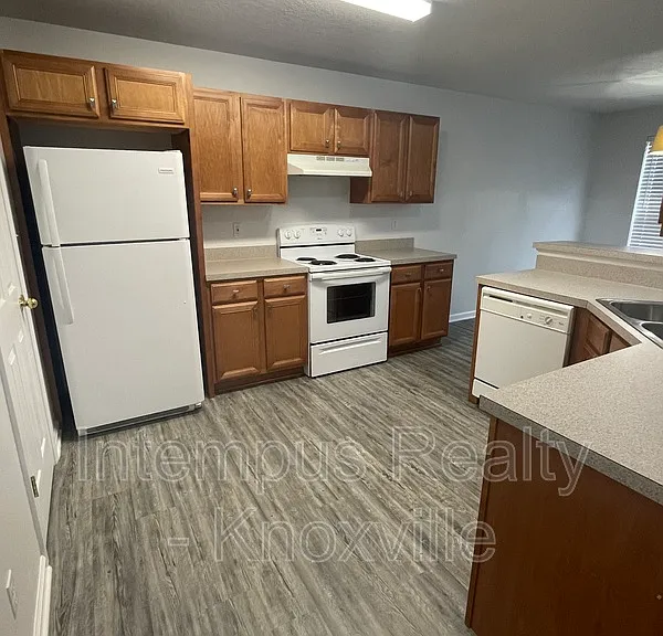 3119 Pinex Ln — Photo 4