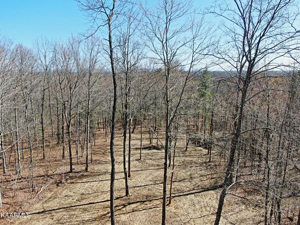 Cole Place Rd, Allardt, TN 38504