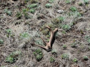 12298 Camp Kimball Rd, Williams, AZ 86046