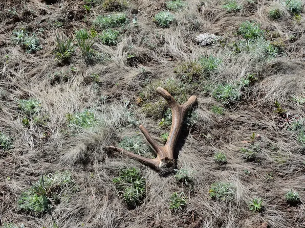 12298 Camp Kimball Rd, Williams, AZ 86046