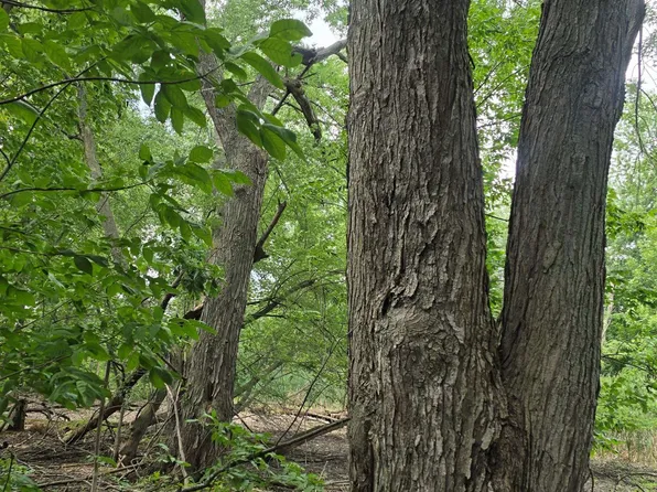 Munger Rd, Bay City, MI 48708