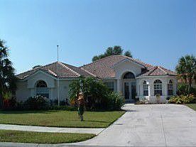 1217 Fishtail Palm