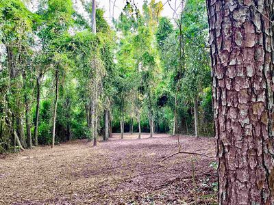 Shiver Rd, Monticello, FL, 32344