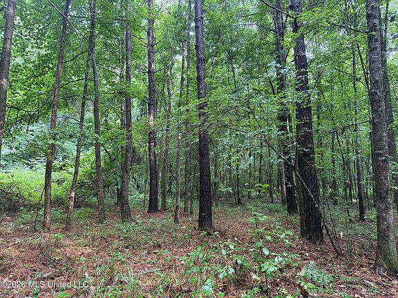 4th image of County Road 2136