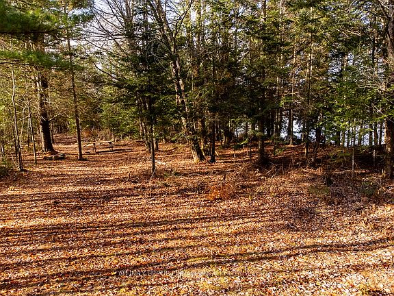 5th image of LOT 7 Comfort Dr