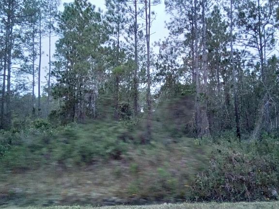3rd image of 10575 Baylor Ave