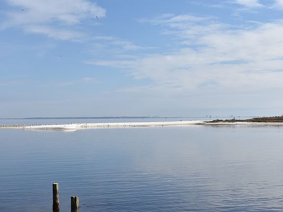 Beach and Gulf Breeze view