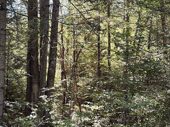 4th image of 0 Parker Road