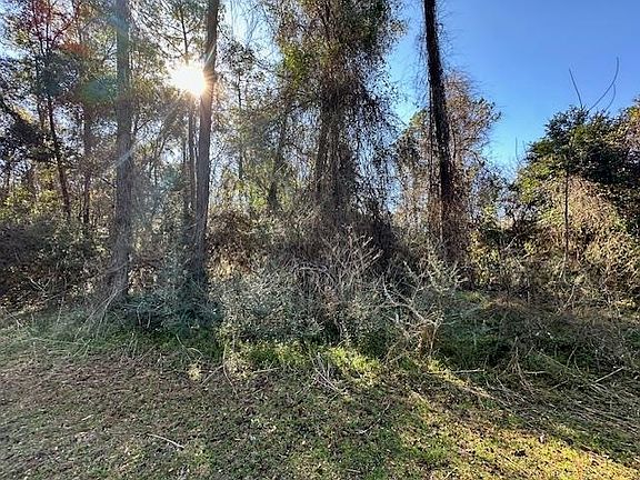 3rd image of Lovett Rd
