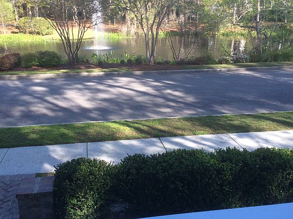 View of pond from front