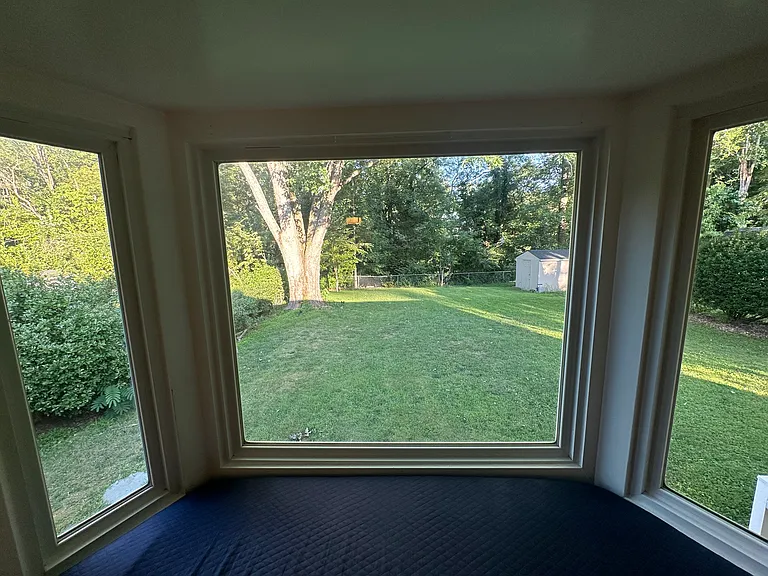 View from the living room window