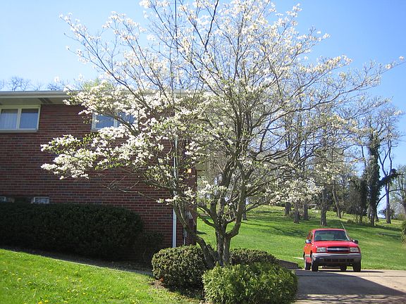 2nd image of 360 Balazia Ave