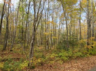 Lot 3 Scheers Road, Hayward, WI 54843