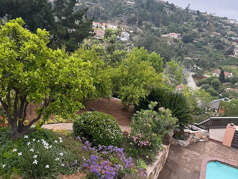 Ridgecrest Dr — Photo 73