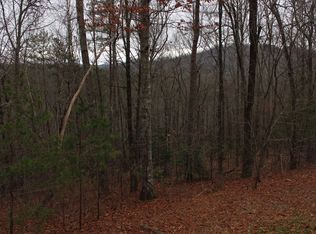 19 Bootleg Trl, Hayesville, NC 28904