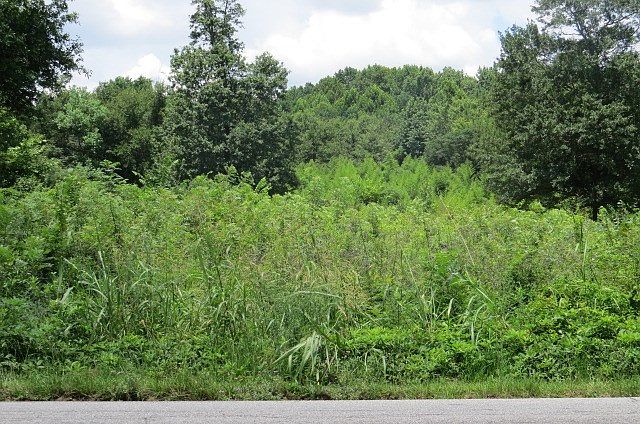 2nd image of 1815 Kissingbower Rd