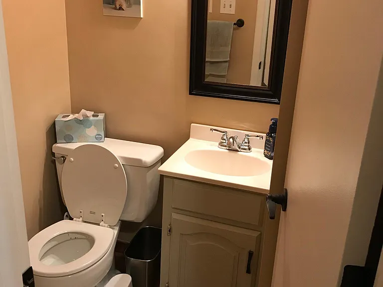 1462 Spreading Oak Dr — Photo 14