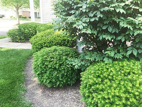 4th image of 6788 Cedar Cove Dr