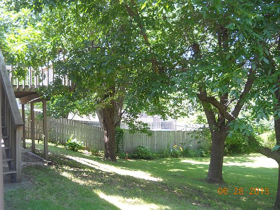 back yard/deck
