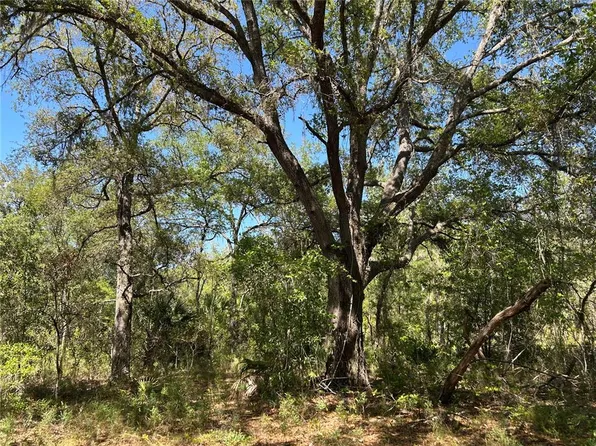 SE 62nd St, Morriston, FL 32668