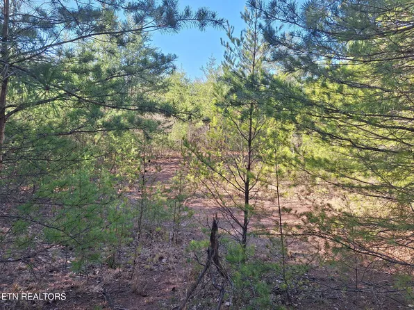 0 Highway 360, Tellico Plains, TN 37385