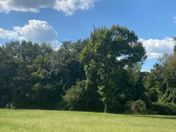 3rd St, Athens, TX 75751