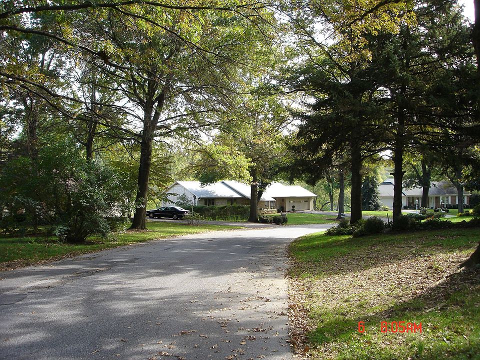Tree-lined Creekside Lane